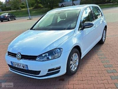 Biały Używany 2016 VW Golf VII Sedan/Limuzyna | 53 000 zł (Drogi)