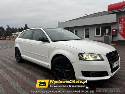 Biały Używany 2009 Audi A3 Hatchback | 24 888 zł (Dość drogi)