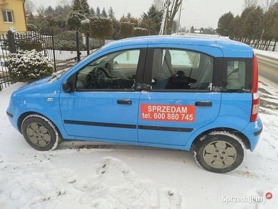 Używany 2005 Fiat Panda | 6600 zł (Dość drogi)