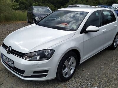 Biały Używany 2016 VW Golf VII Hatchback | 44 800 zł (Drogi)