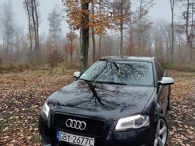 Używany Audi A3 S-Line 105 KM (77 kW) 2008 Hatchback