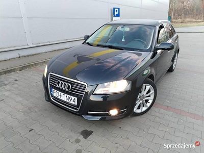 Używany 2011 Audi A3 | 19 999 zł (Dobra cena)