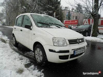 Biały Używany 2008 Fiat Panda Hatchback | 7600 zł (Uczciwa cena)