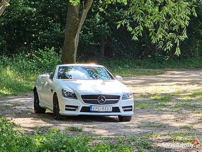 używany Mercedes SLK250 AMG 204ps automat biała perła mat