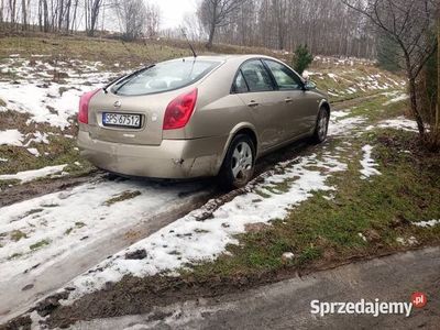 używany Nissan Primera P12 2004r 1.6 Benzyna