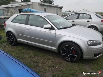 Używany 2006 Audi A3 | 14 500 zł (Dość drogi)