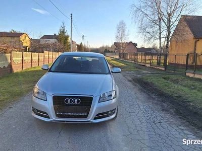 używany Audi A3 8P 1.6 TDI lift.