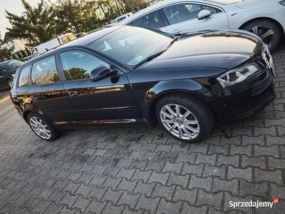 Używany Audi A3 160 KM (117 kW) 2008 Hatchback