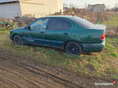 Używany Nissan Primera 1996 Kombi