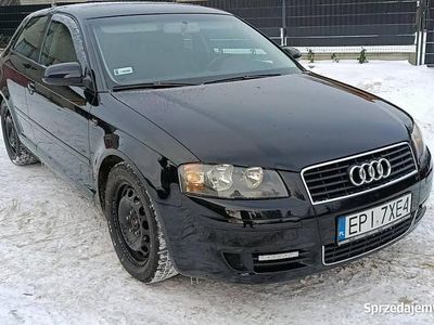 Czarny Używany 2003 Audi A3 Hatchback | 11 999 zł (Drogi)