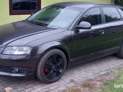 Używany 2008 Audi A3 | 22 900 zł (Dość drogi)