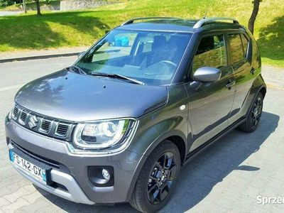 używany Suzuki Ignis 1.2i 83PS 10tkm Navi Kamera HYBRID Lift