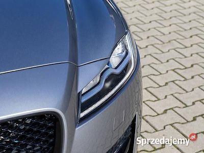 Używany 2019 Jaguar XF R-Dynamic | 135 000 zł