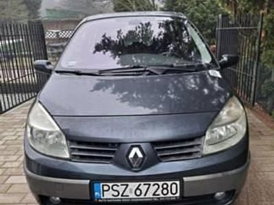 Używany Renault Mégane II 113 KM (83 kW) 2004