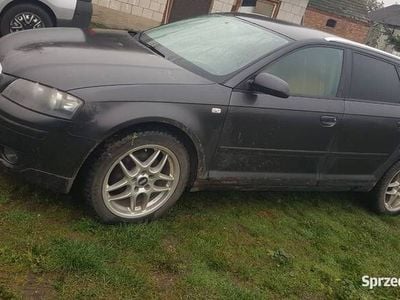 Używany 2008 Audi A3 | 20 000 zł