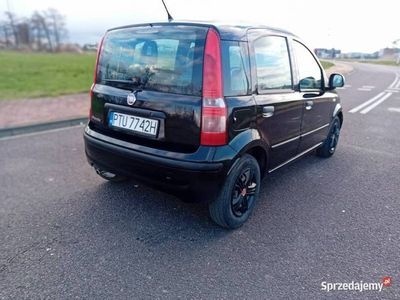 używany Fiat Panda II