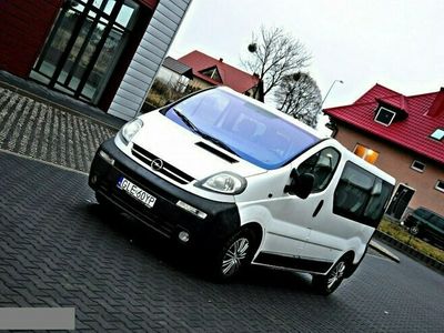 używany Opel Vivaro 1.9dm 101KM 2005r. 390 000km