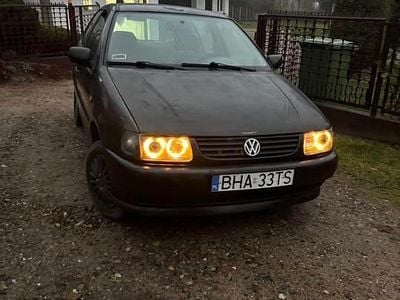 VW Polo