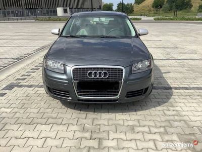 Szary Używany 2004 Audi A3 Hatchback | 18 900 zł (Drogi)