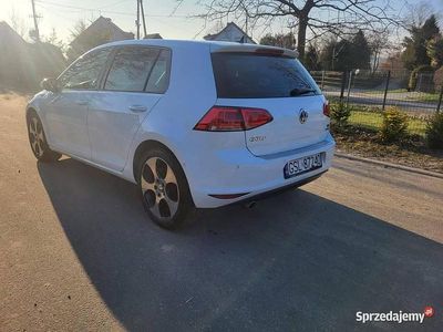 Biały Używany 2015 VW Golf VII Cup Hatchback | 36 900 zł (Drogi)