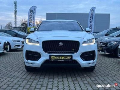 Używany Jaguar F-Pace 2019 Biały SUV