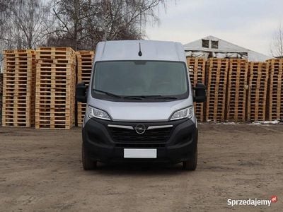 Używany Opel Movano 2023 Srebrny Van