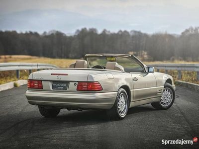 Używany 1996 Mercedes SL500 | 139 000 zł