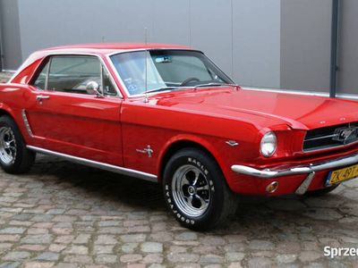 używany Ford Mustang Mustang 1965289Cu V8 Automat Stan BDB LUXUR...1965289Cu V8 Automat Stan BDB LUXUR...