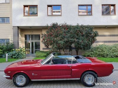 używany Ford Mustang Cabrio 4.7 V8 manualna skrzynia 4 biegowa