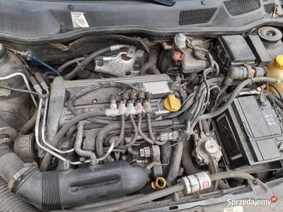 używany Opel Astra ASTRA BERTONE KABRIOLET 2.2+GAZ PEŁNA OPCJABERTONE KABRIOLET 2.2+GAZ PEŁNA OPCJA