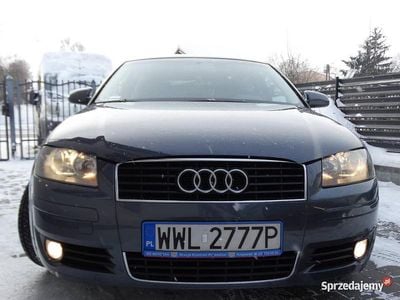 Używany 2004 Audi A3 | 11 900 zł (Uczciwa cena)