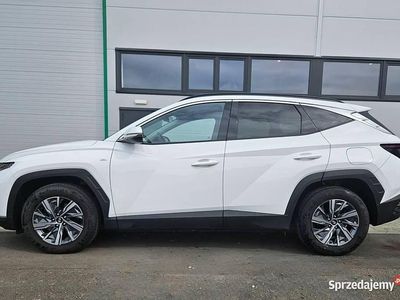 Używany 2023 Hyundai Tucson SUV | 119 900 zł (Drogi)