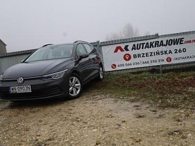 używany VW Golf VIII (2020-)