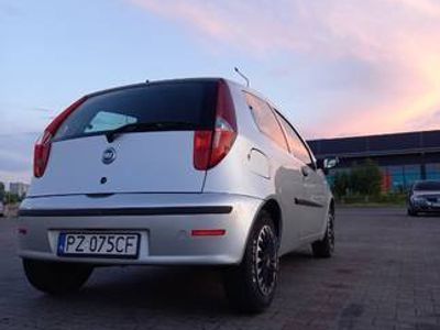 Używany Fiat Punto 69 KM (50 kW) 2009 Srebrny Hatchback