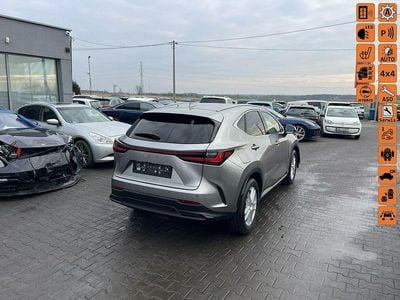 Używany Lexus NX450h+ 2023 Brązowobeżowy SUV