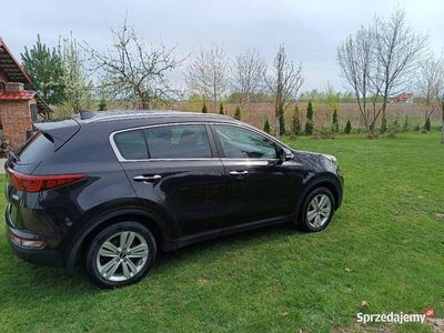 używany Kia Sportage 