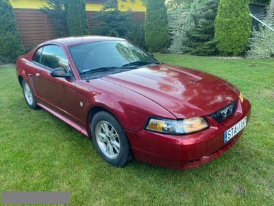 Używany Ford Mustang 190 KM (139 kW) 2003 Bordowy Coupe