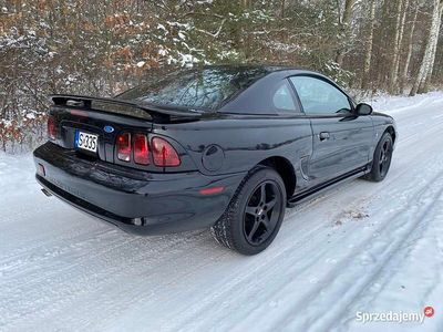 Używany 1996 Ford Mustang | 20 900 zł