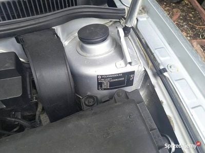 VW Bora