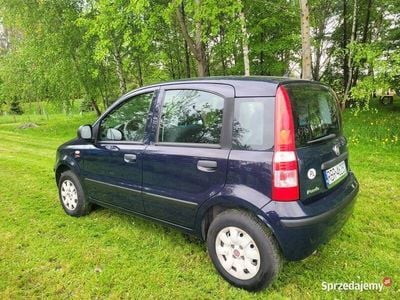 Używany Fiat Panda 2009 Granatowy Hatchback