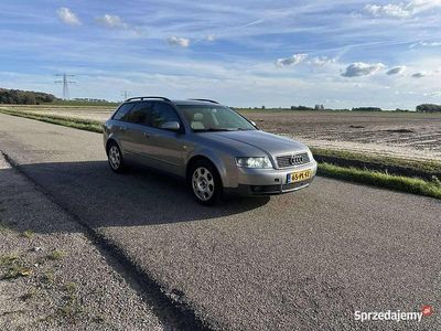 Używany 2004 Audi A4 Proline | 11 000 zł (Dość drogi)