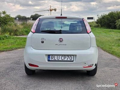 Biały Używany 2013 Fiat Punto Hatchback | 10 400 zł