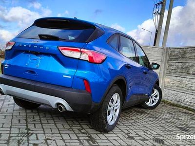 używany Ford Kuga Mk3 blue version automatic