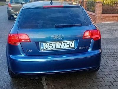 Niebieski Używany 2004 Audi A3 Kombi | 8900 zł (Uczciwa cena)