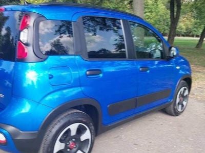 Używany 2024 Fiat Panda Cross Cross Hatchback | 65 000 zł