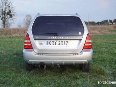 Używany 2005 Subaru Forester SUV | 43 000 zł