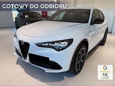 Biały Nowe 2025 Alfa Romeo Stelvio Veloce SUV | 239 600 zł
