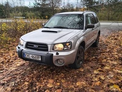 Używany Subaru Forester 2004 Srebrny SUV