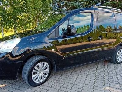 Brązowy Używany 2009 Citroën Berlingo Minivan | 21 500 zł (Drogi)