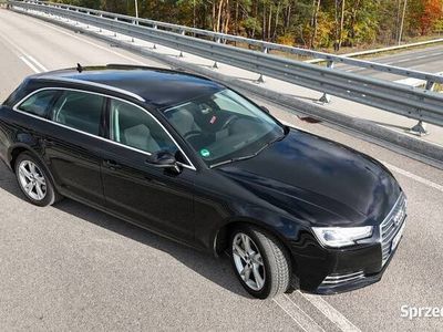 Używany Audi A4 Ambiente 2016